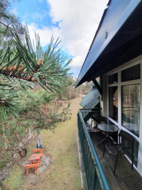 Apartmani Milutinovic, Divčibare